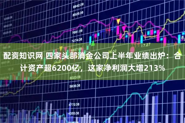 配资知识网 四家头部消金公司上半年业绩出炉：合计资产超6200亿，这家净利润大增213%