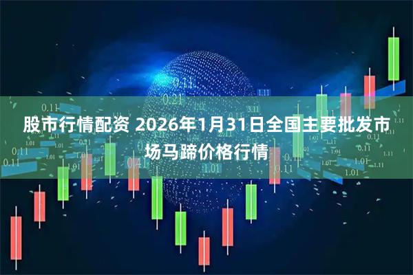 股市行情配资 2026年1月31日全国主要批发市场马蹄价格行情